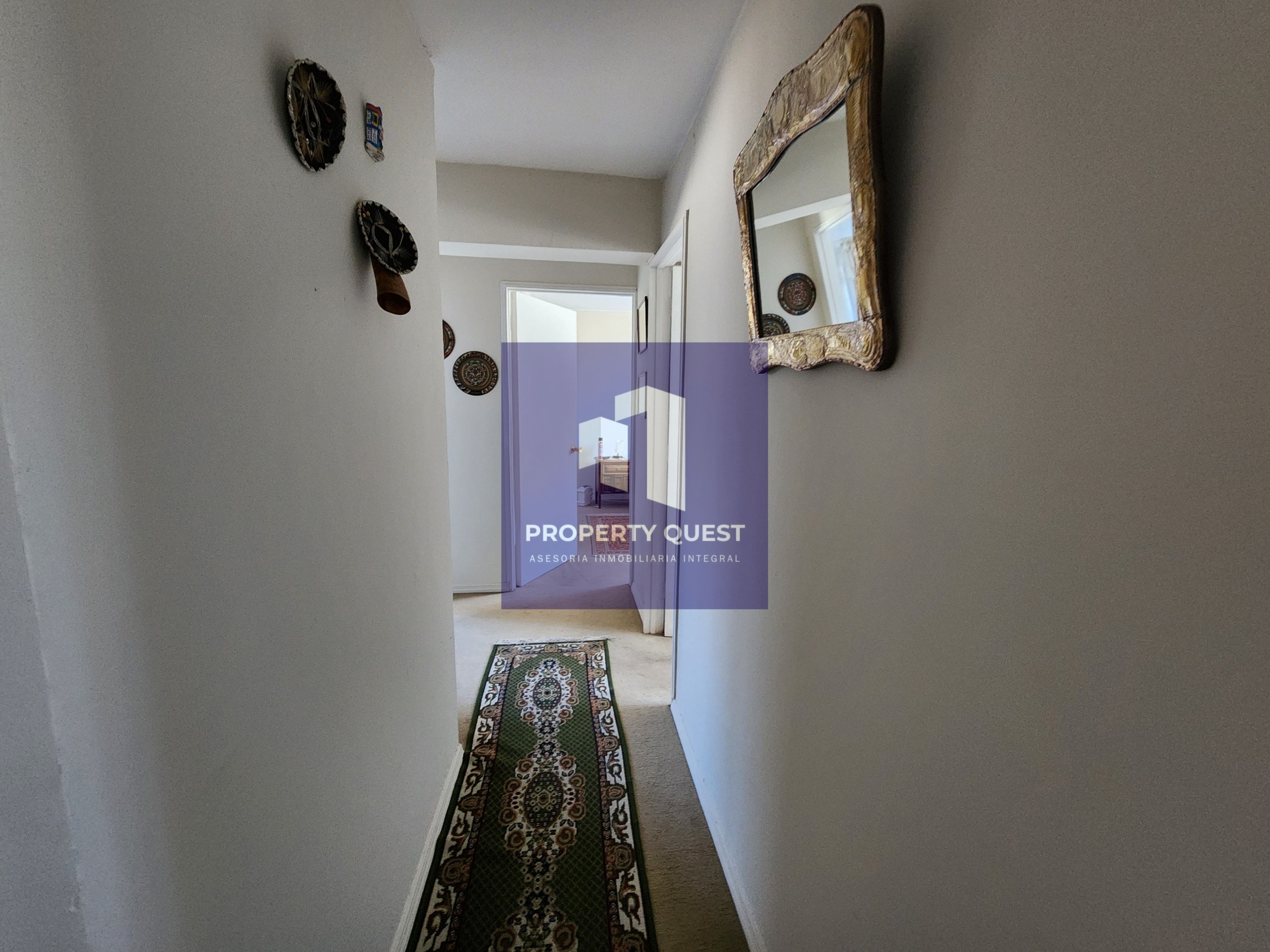 eZy_watermark_02-01-2025_09-28-23