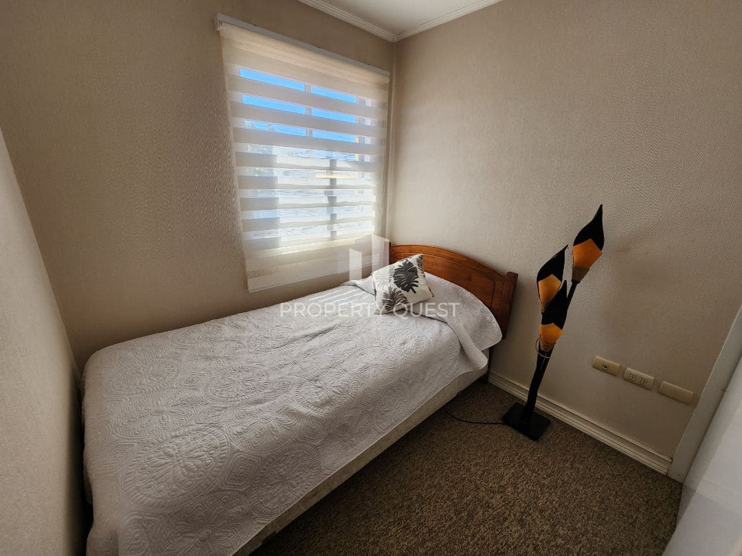 eZy_watermark_12-02-2026_02-36-55 (1)