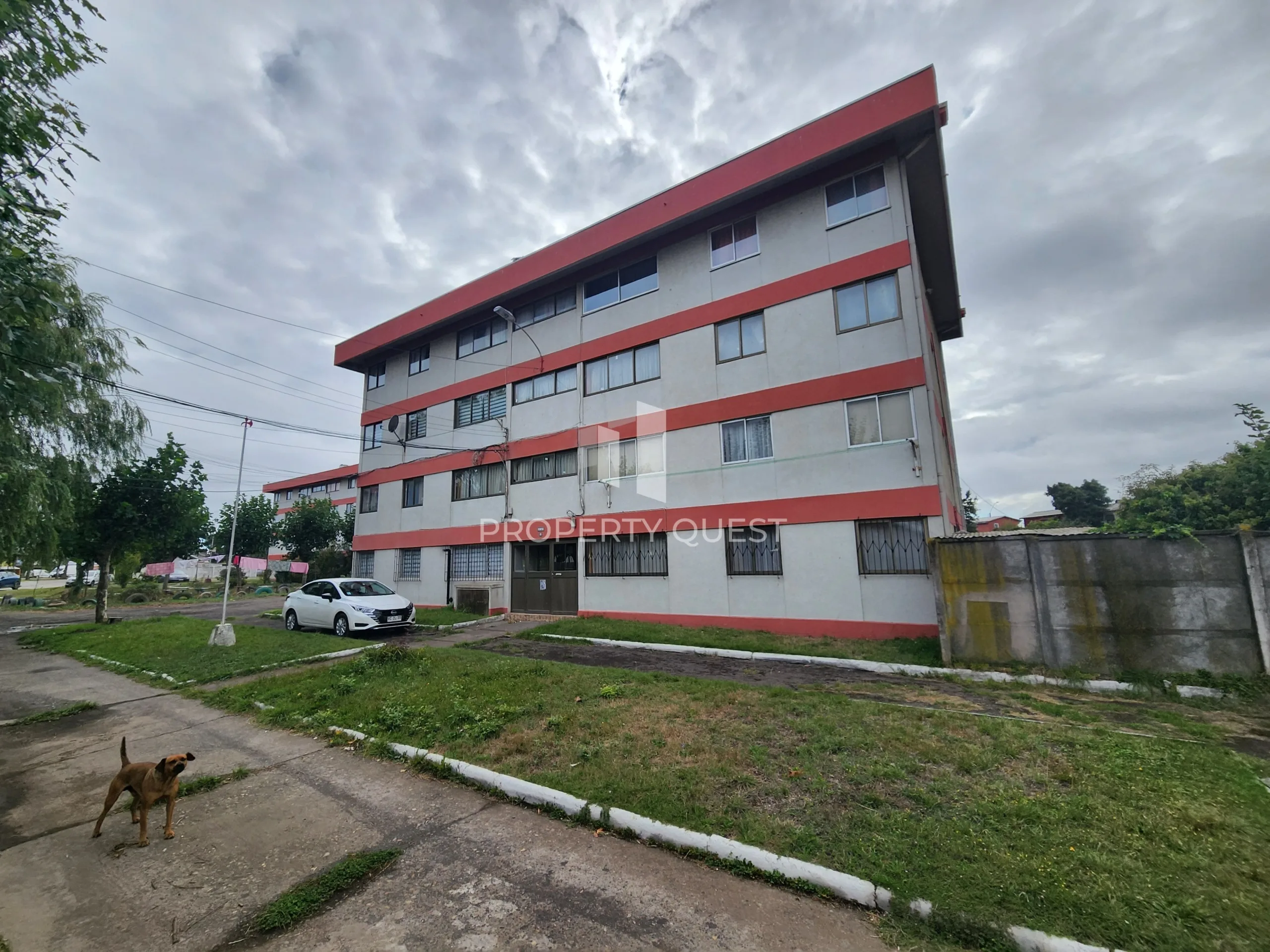 Foto 4